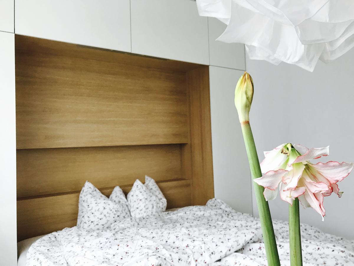 Design Apartment In Park โซเฟีย ภายนอก รูปภาพ