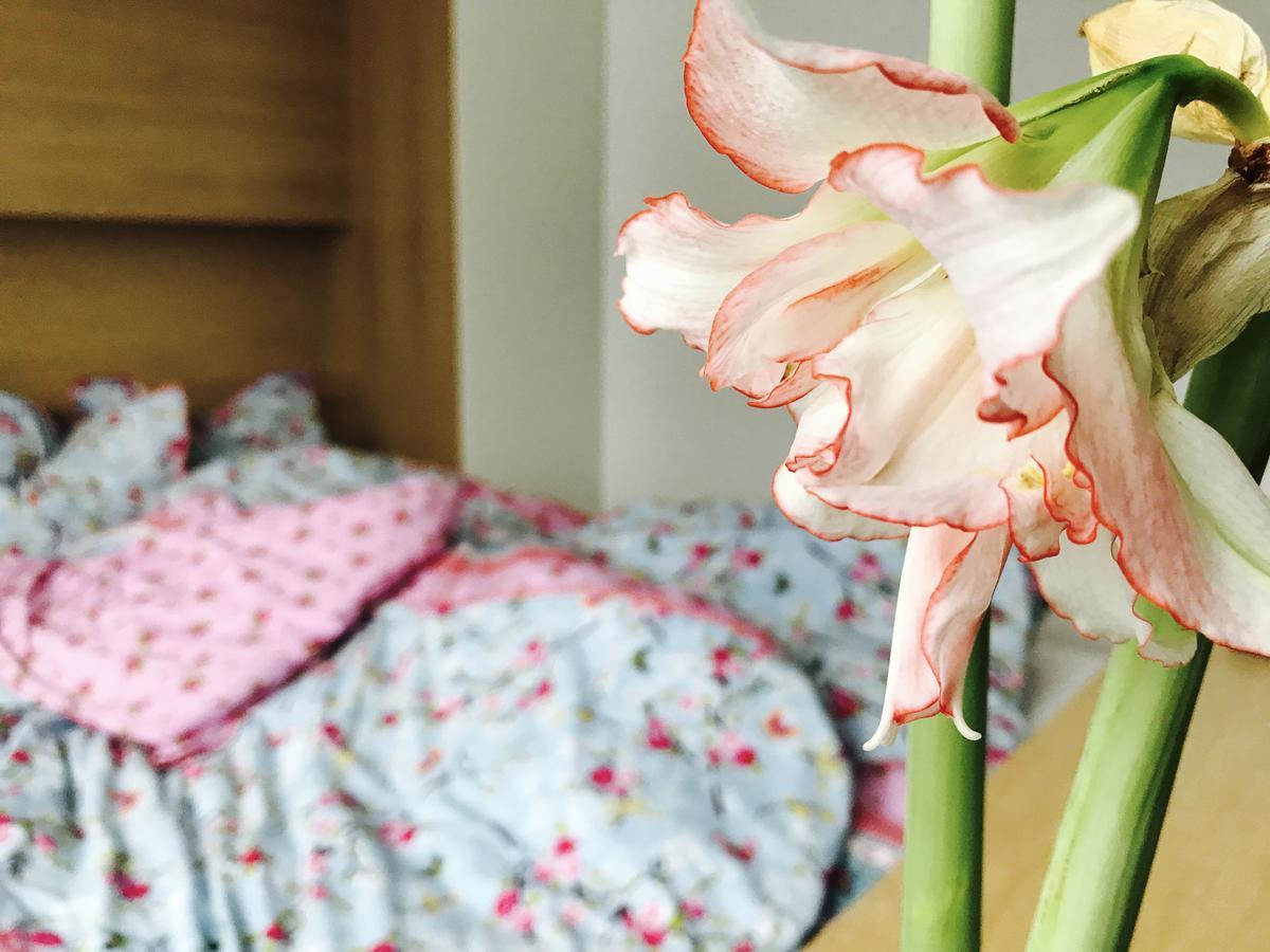 Design Apartment In Park โซเฟีย ภายนอก รูปภาพ
