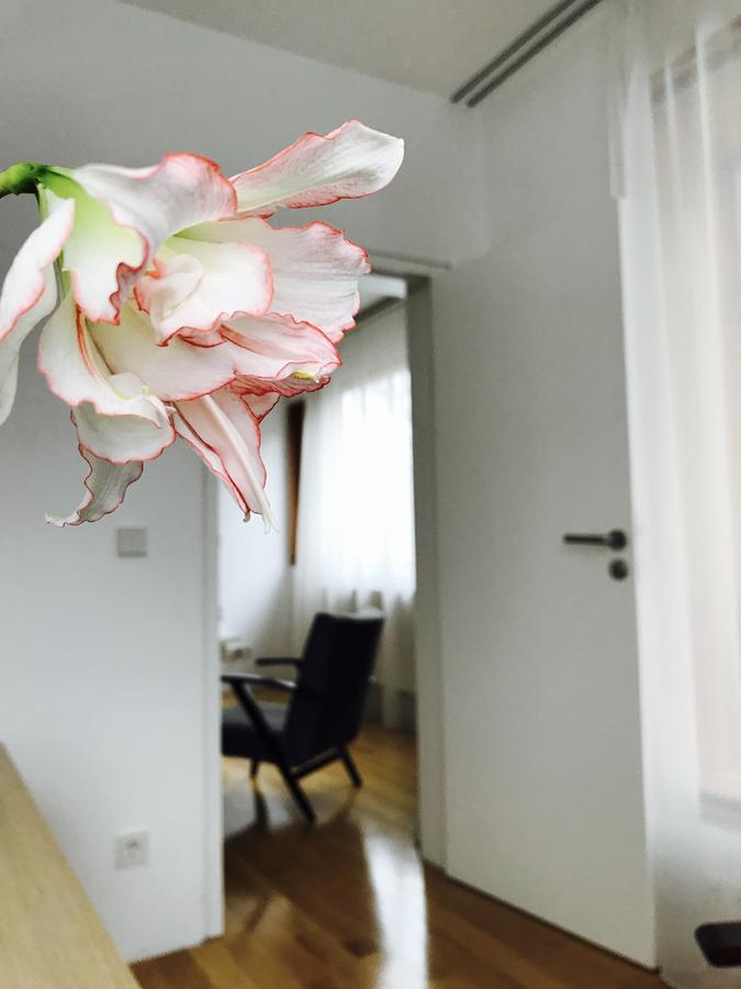 Design Apartment In Park โซเฟีย ภายนอก รูปภาพ